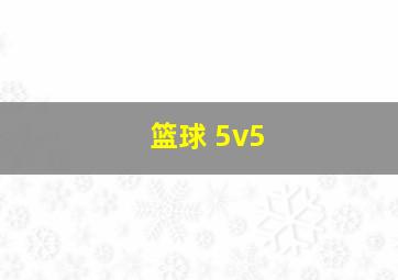 篮球 5v5